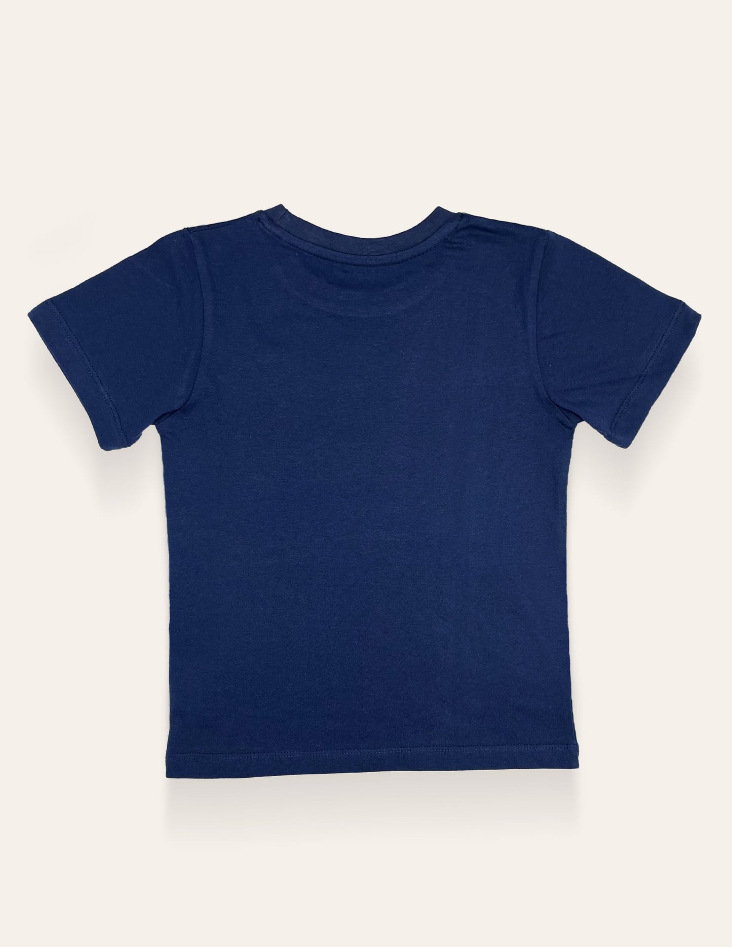 Navy Multi Stripe Printed T-Shirt