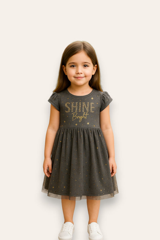 Charcoal Grey Tulle Skirt Dress