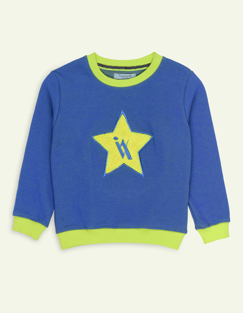 Blue Star Embroidered Sweatshirt