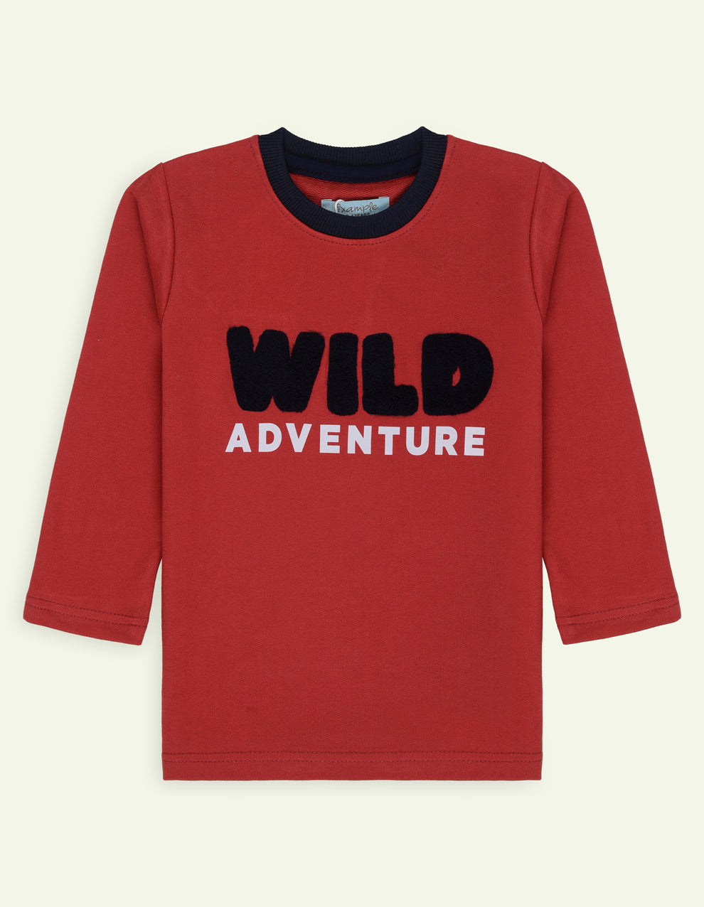 Wild Chenille Embroidered French Terry Tshirt