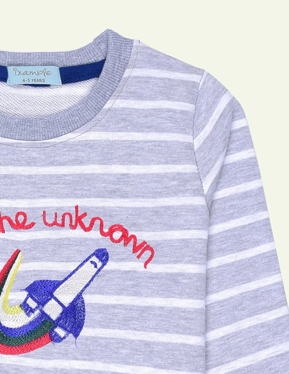 Striped Embroidered Sweatshirt