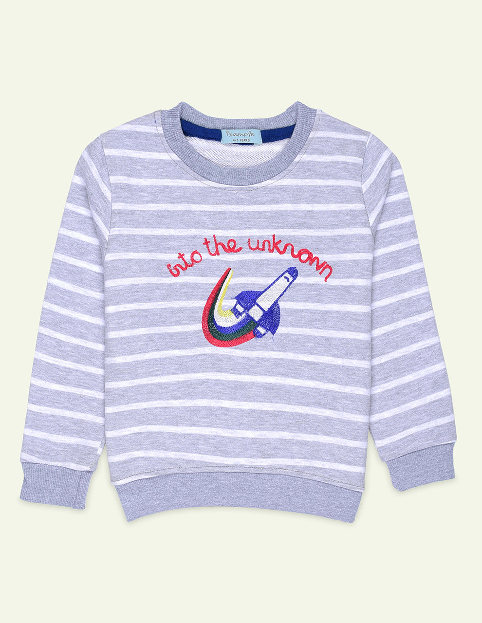 Striped Embroidered Sweatshirt